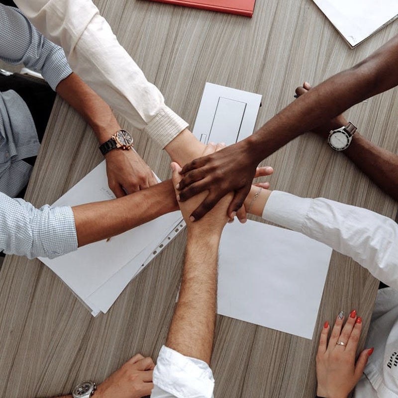 Curabitur vitae leo vitae ipsum varius laoreet